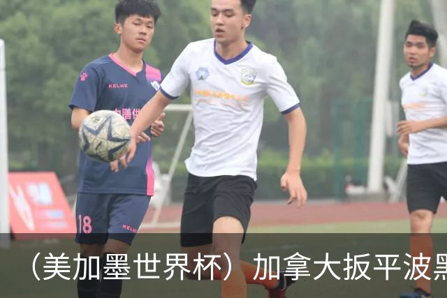 （美加墨世界杯）加拿大扳平波黑 获队史世界杯首分