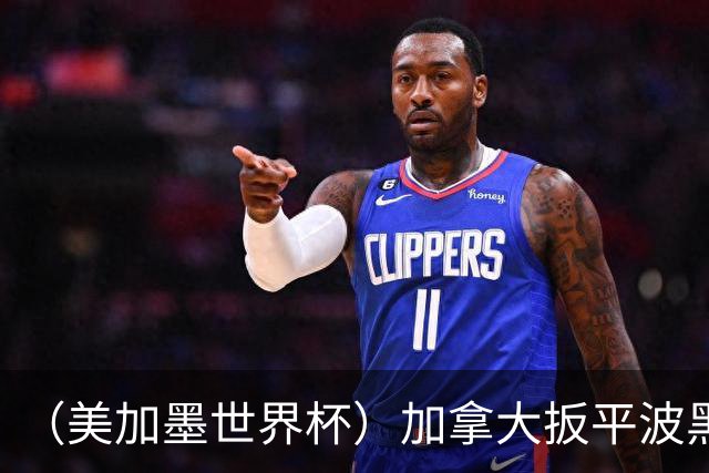 （美加墨世界杯）加拿大扳平波黑 获队史世界杯首分